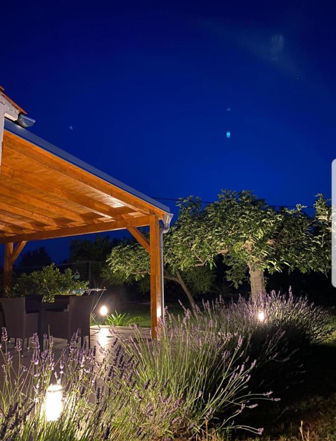 Holiday House Lucia Sukošan Екстериор снимка