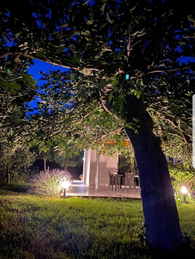 Holiday House Lucia Sukošan Екстериор снимка